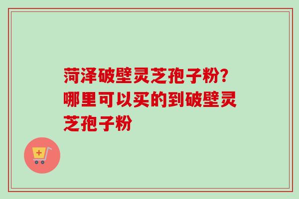 菏泽破壁灵芝孢子粉？哪里可以买的到破壁灵芝孢子粉-第1张图片-卓越灵芝孢子粉