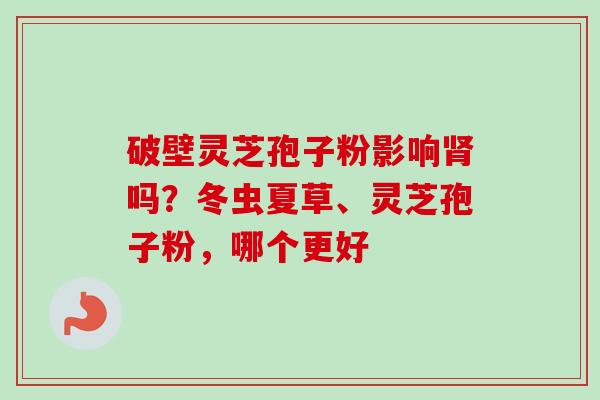 破壁灵芝孢子粉影响肾吗?冬虫夏草、灵芝孢子粉,哪个更好-第1张图片-卓越灵芝孢子粉 破壁灵芝孢子粉影响肾吗?冬虫夏草、灵芝孢子粉,哪个更好-第1张图片-卓越灵芝孢子粉