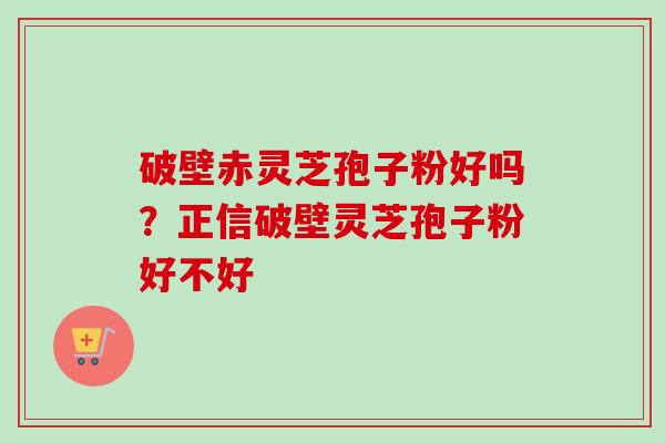 破壁赤灵芝孢子粉好吗?正信破壁灵芝孢子粉好不好-第1张图片-卓越灵芝孢子粉 破壁赤灵芝孢子粉好吗?正信破壁灵芝孢子粉好不好-第1张图片-卓越灵芝孢子粉