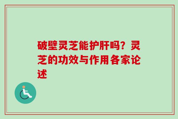 破壁灵芝能护肝吗？灵芝的功效与作用各家论述-第1张图片-卓越灵芝孢子粉