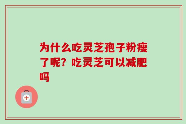 为什么吃灵芝孢子粉瘦了呢?吃灵芝可以减肥吗-第1张图片-卓越灵芝孢子粉 为什么吃灵芝孢子粉瘦了呢?吃灵芝可以减肥吗-第1张图片-卓越灵芝孢子粉