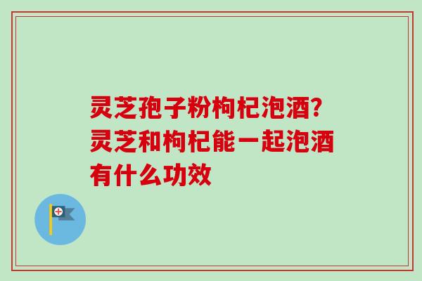 灵芝孢子粉枸杞泡酒?灵芝和枸杞能一起泡酒有什么功效-第1张图片-卓越灵芝孢子粉 灵芝孢子粉枸杞泡酒?灵芝和枸杞能一起泡酒有什么功效-第1张图片-卓越灵芝孢子粉