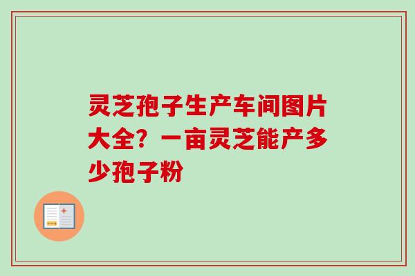 灵芝孢子生产车间图片大全？一亩灵芝能产多少孢子粉-第1张图片-卓越灵芝孢子粉