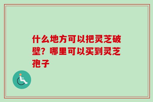 什么地方可以把灵芝破壁？哪里可以买到灵芝孢子-第1张图片-卓越灵芝孢子粉