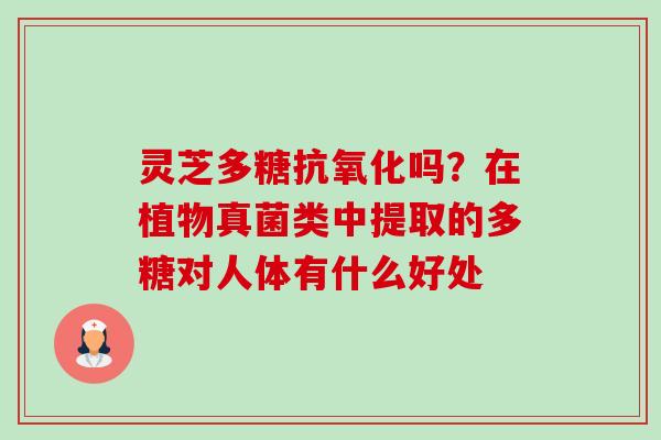 灵芝多糖抗氧化吗?在植物真菌类中提取的多糖对人体有什么好处-第1张图片-卓越灵芝孢子粉 灵芝多糖抗氧化吗?在植物真菌类中提取的多糖对人体有什么好处-第1张图片-卓越灵芝孢子粉