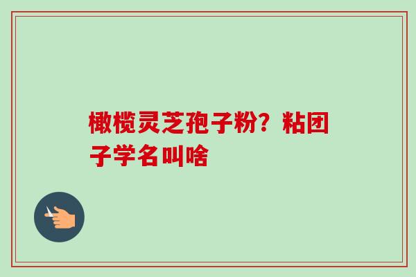 橄榄灵芝孢子粉?粘团子学名叫啥-第1张图片-卓越灵芝孢子粉 橄榄灵芝孢子粉?粘团子学名叫啥-第1张图片-卓越灵芝孢子粉