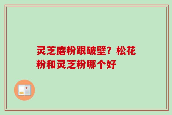 灵芝磨粉跟破壁?松花粉和灵芝粉哪个好-第1张图片-卓越灵芝孢子粉 灵芝磨粉跟破壁?松花粉和灵芝粉哪个好-第1张图片-卓越灵芝孢子粉