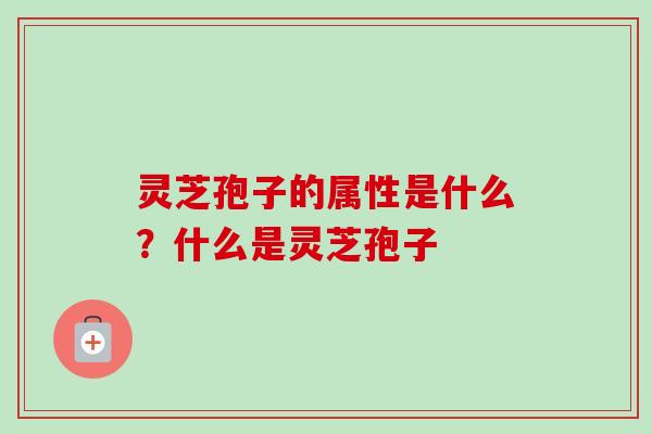 灵芝孢子的属性是什么?什么是灵芝孢子-第1张图片-卓越灵芝孢子粉 灵芝孢子的属性是什么?什么是灵芝孢子-第1张图片-卓越灵芝孢子粉