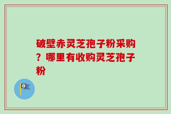 破壁赤灵芝孢子粉采购?哪里有收购灵芝孢子粉-第1张图片-卓越灵芝孢子粉 破壁赤灵芝孢子粉采购?哪里有收购灵芝孢子粉-第1张图片-卓越灵芝孢子粉