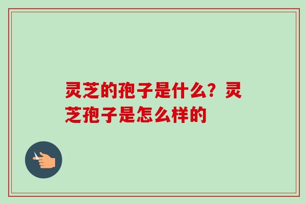 灵芝的孢子是什么?灵芝孢子是怎么样的-第1张图片-卓越灵芝孢子粉 灵芝的孢子是什么?灵芝孢子是怎么样的-第1张图片-卓越灵芝孢子粉