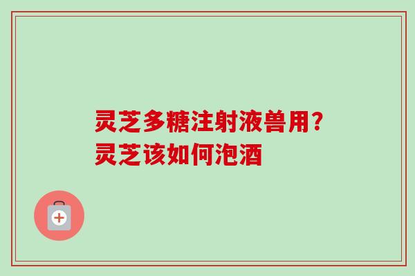 灵芝多糖注射液兽用？灵芝该如何泡酒-第1张图片-卓越灵芝孢子粉
