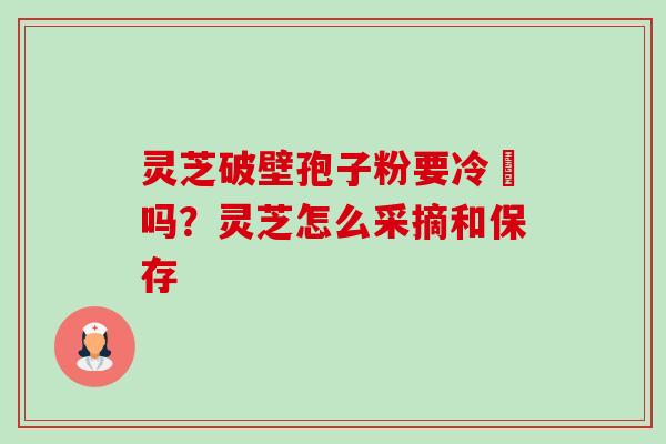 灵芝破壁孢子粉要冷蔵吗?灵芝怎么采摘和保存-第1张图片-卓越灵芝孢子粉 灵芝破壁孢子粉要冷蔵吗?灵芝怎么采摘和保存-第1张图片-卓越灵芝孢子粉