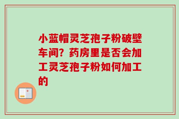 小蓝帽灵芝孢子粉破壁车间？药房里是否会加工灵芝孢子粉如何加工的-第1张图片-卓越灵芝孢子粉