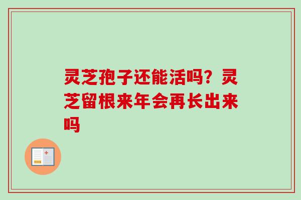 灵芝孢子还能活吗？灵芝留根来年会再长出来吗-第1张图片-卓越灵芝孢子粉