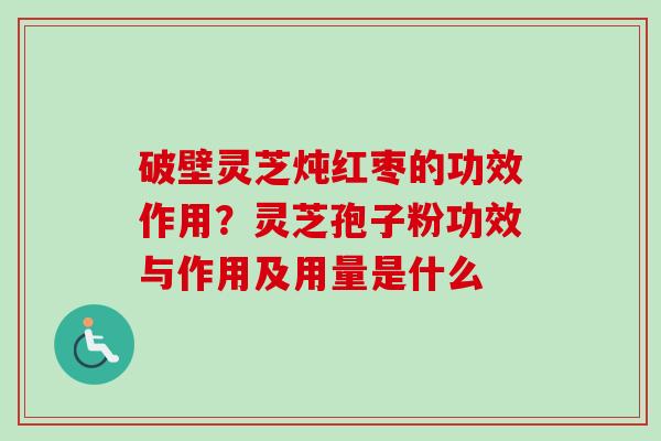 破壁灵芝炖红枣的功效作用？灵芝孢子粉功效与作用及用量是什么-第1张图片-卓越灵芝孢子粉