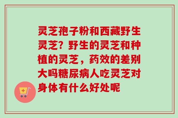 灵芝孢子粉和西藏野生灵芝?野生的灵芝和种植的灵芝,药效的差别大吗糖尿病人吃灵芝对身体有什么好处呢-第1张图片-卓越灵芝孢子粉 灵芝孢子粉和西藏野生灵芝?野生的灵芝和种植的灵芝,药效的差别大吗糖尿病人吃灵芝对身体有什么好处呢-第1张图片-卓越灵芝孢子粉