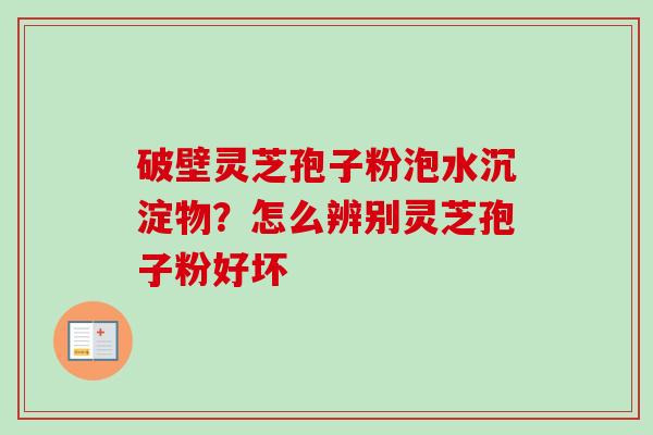 破壁灵芝孢子粉泡水沉淀物？怎么辨别灵芝孢子粉好坏-第1张图片-卓越灵芝孢子粉