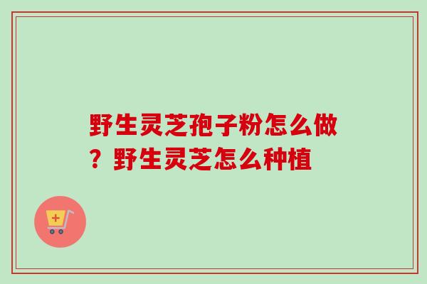野生灵芝孢子粉怎么做?野生灵芝怎么种植-第1张图片-卓越灵芝孢子粉 野生灵芝孢子粉怎么做?野生灵芝怎么种植-第1张图片-卓越灵芝孢子粉