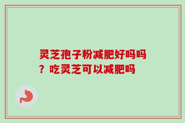 灵芝孢子粉减肥好吗吗?吃灵芝可以减肥吗-第1张图片-卓越灵芝孢子粉 灵芝孢子粉减肥好吗吗?吃灵芝可以减肥吗-第1张图片-卓越灵芝孢子粉