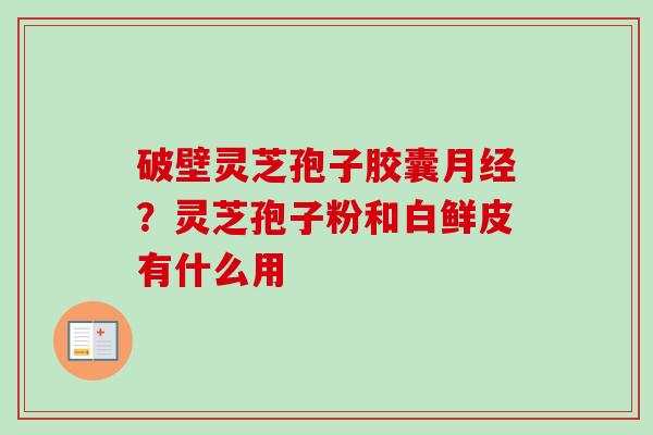 破壁灵芝孢子胶囊月经？灵芝孢子粉和白鲜皮有什么用-第1张图片-卓越灵芝孢子粉