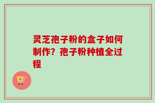 灵芝孢子粉的盒子如何制作？孢子粉种植全过程-第1张图片-卓越灵芝孢子粉