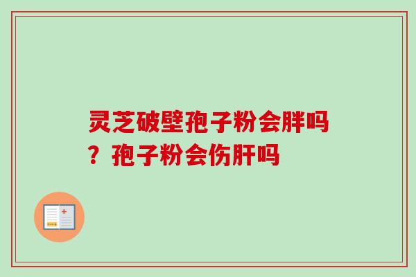 灵芝破壁孢子粉会胖吗？孢子粉会伤肝吗-第1张图片-卓越灵芝孢子粉