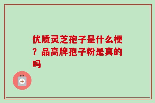 优质灵芝孢子是什么梗?品高牌孢子粉是真的吗-第1张图片-卓越灵芝孢子粉 优质灵芝孢子是什么梗?品高牌孢子粉是真的吗-第1张图片-卓越灵芝孢子粉