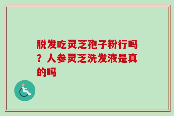 脱发吃灵芝孢子粉行吗?人参灵芝洗发液是真的吗-第1张图片-卓越灵芝孢子粉 脱发吃灵芝孢子粉行吗?人参灵芝洗发液是真的吗-第1张图片-卓越灵芝孢子粉