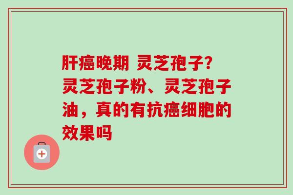 肝癌晚期 灵芝孢子?灵芝孢子粉、灵芝孢子油,真的有抗癌细胞的效果吗-第1张图片-卓越灵芝孢子粉 肝癌晚期 灵芝孢子?灵芝孢子粉、灵芝孢子油,真的有抗癌细胞的效果吗-第1张图片-卓越灵芝孢子粉