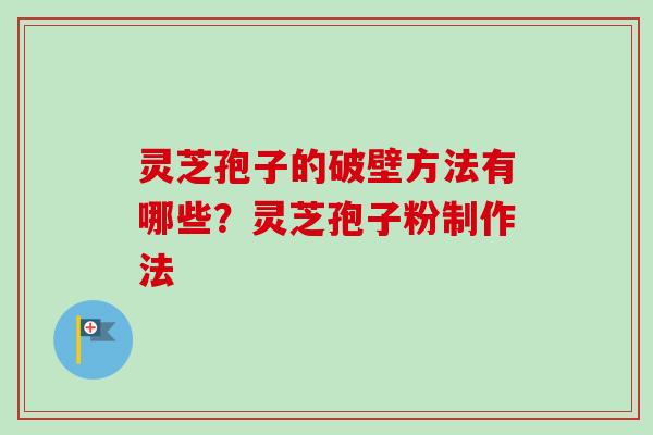 灵芝孢子的破壁方法有哪些？灵芝孢子粉制作法-第1张图片-卓越灵芝孢子粉