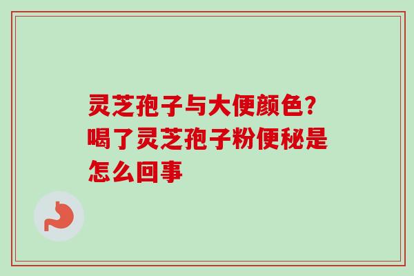 灵芝孢子与大便颜色?喝了灵芝孢子粉便秘是怎么回事-第1张图片-卓越灵芝孢子粉 灵芝孢子与大便颜色?喝了灵芝孢子粉便秘是怎么回事-第1张图片-卓越灵芝孢子粉