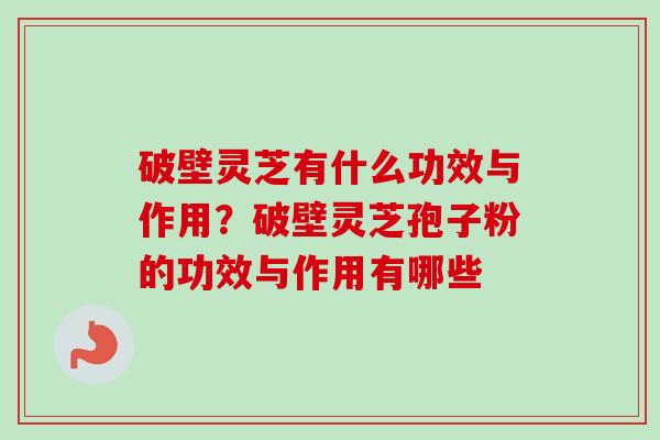 破壁灵芝有什么功效与作用?破壁灵芝孢子粉的功效与作用有哪些-第1张图片-卓越灵芝孢子粉 破壁灵芝有什么功效与作用?破壁灵芝孢子粉的功效与作用有哪些-第1张图片-卓越灵芝孢子粉