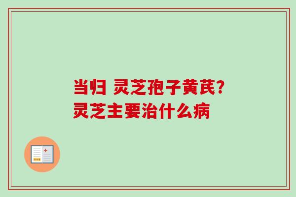 当归 灵芝孢子黄芪？灵芝主要治什么病-第1张图片-卓越灵芝孢子粉