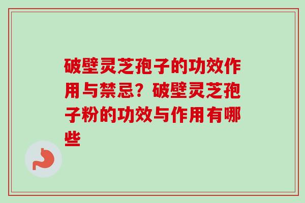破壁灵芝孢子的功效作用与禁忌？破壁灵芝孢子粉的功效与作用有哪些-第1张图片-卓越灵芝孢子粉