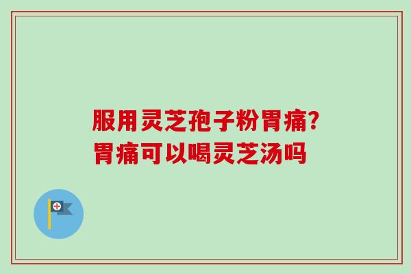 服用灵芝孢子粉胃痛？胃痛可以喝灵芝汤吗-第1张图片-卓越灵芝孢子粉