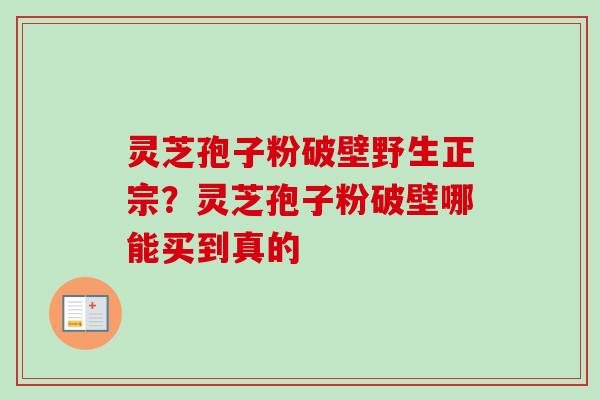 灵芝孢子粉破壁野生正宗？灵芝孢子粉破壁哪能买到真的-第1张图片-卓越灵芝孢子粉