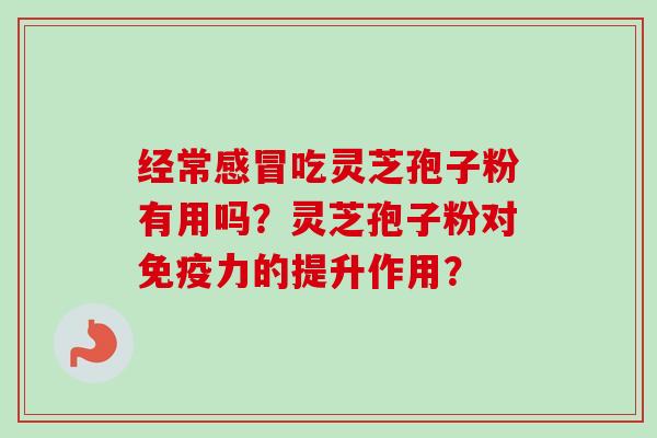 经常感冒吃灵芝孢子粉有用吗？灵芝孢子粉对免疫力的提升作用？-第1张图片-卓越灵芝孢子粉