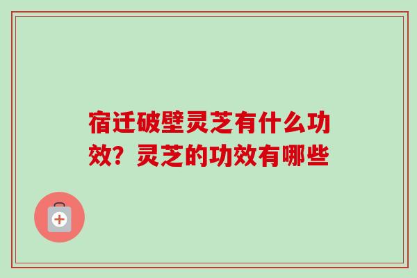 宿迁破壁灵芝有什么功效?灵芝的功效有哪些-第1张图片-卓越灵芝孢子粉 宿迁破壁灵芝有什么功效?灵芝的功效有哪些-第1张图片-卓越灵芝孢子粉