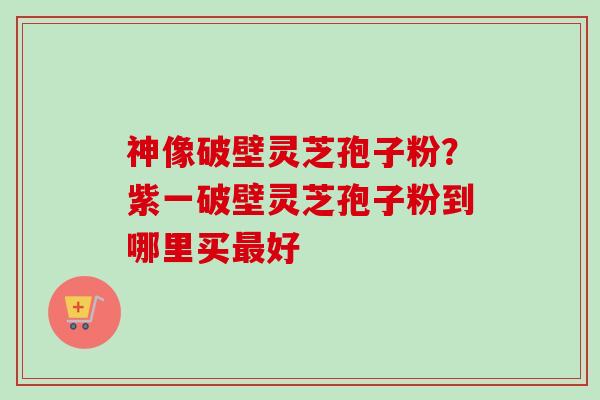 神像破壁灵芝孢子粉?紫一破壁灵芝孢子粉到哪里买最好-第1张图片-卓越灵芝孢子粉 神像破壁灵芝孢子粉?紫一破壁灵芝孢子粉到哪里买最好-第1张图片-卓越灵芝孢子粉