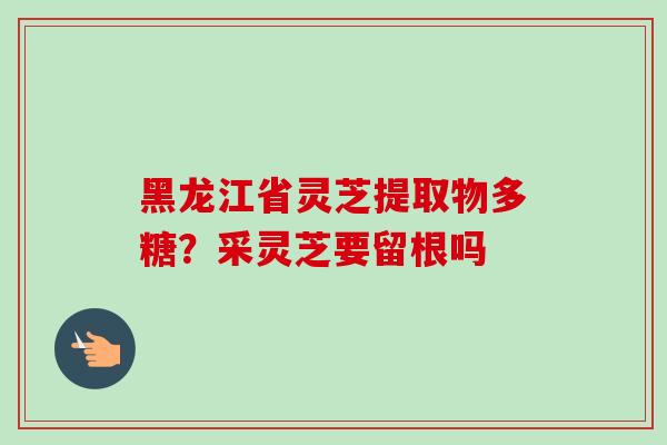 黑龙江省灵芝提取物多糖？采灵芝要留根吗-第1张图片-卓越灵芝孢子粉