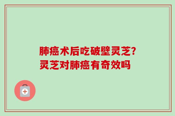 肺癌术后吃破壁灵芝?灵芝对肺癌有奇效吗-第1张图片-卓越灵芝孢子粉 肺癌术后吃破壁灵芝?灵芝对肺癌有奇效吗-第1张图片-卓越灵芝孢子粉