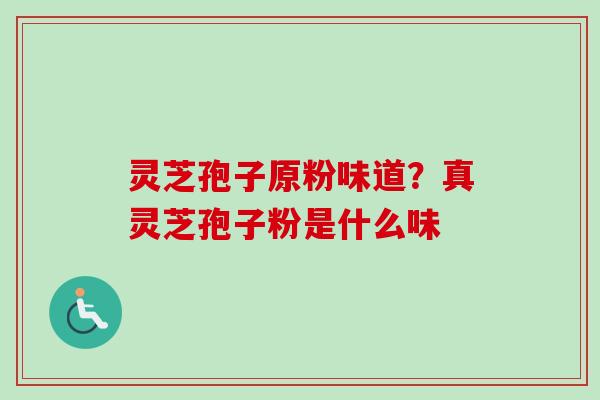 灵芝孢子原粉味道？真灵芝孢子粉是什么味-第1张图片-卓越灵芝孢子粉