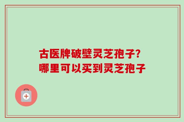 古医牌破壁灵芝孢子？哪里可以买到灵芝孢子-第1张图片-卓越灵芝孢子粉