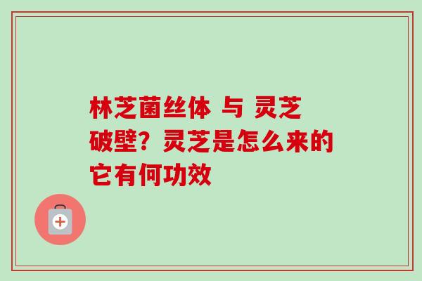 林芝菌丝体 与 灵芝破壁?灵芝是怎么来的它有何功效-第1张图片-卓越灵芝孢子粉 林芝菌丝体 与 灵芝破壁?灵芝是怎么来的它有何功效-第1张图片-卓越灵芝孢子粉