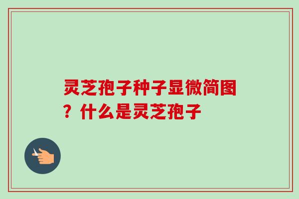 灵芝孢子种子显微简图?什么是灵芝孢子-第1张图片-卓越灵芝孢子粉 灵芝孢子种子显微简图?什么是灵芝孢子-第1张图片-卓越灵芝孢子粉