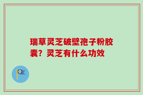 瑞草灵芝破壁孢子粉胶囊?灵芝有什么功效-第1张图片-卓越灵芝孢子粉 瑞草灵芝破壁孢子粉胶囊?灵芝有什么功效-第1张图片-卓越灵芝孢子粉