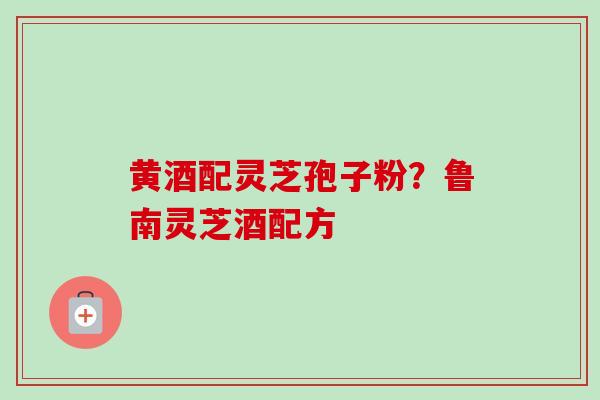 黄酒配灵芝孢子粉？鲁南灵芝酒配方-第1张图片-卓越灵芝孢子粉