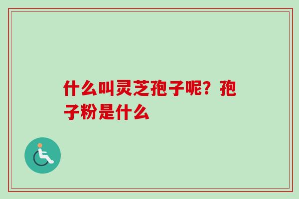 什么叫灵芝孢子呢？孢子粉是什么-第1张图片-卓越灵芝孢子粉