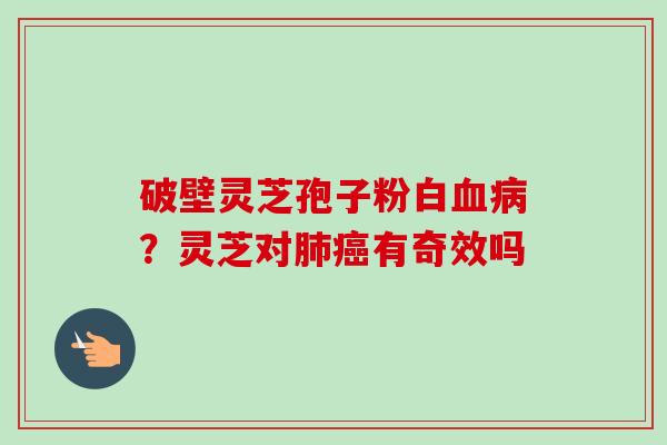 破壁灵芝孢子粉白血病？灵芝对肺癌有奇效吗-第1张图片-卓越灵芝孢子粉