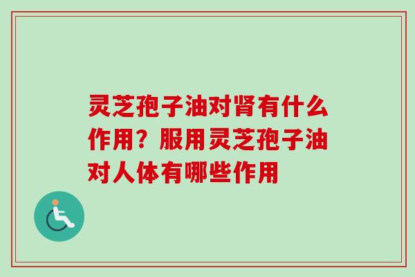 灵芝孢子油对肾有什么作用?服用灵芝孢子油对人体有哪些作用-第1张图片-卓越灵芝孢子粉 灵芝孢子油对肾有什么作用?服用灵芝孢子油对人体有哪些作用-第1张图片-卓越灵芝孢子粉